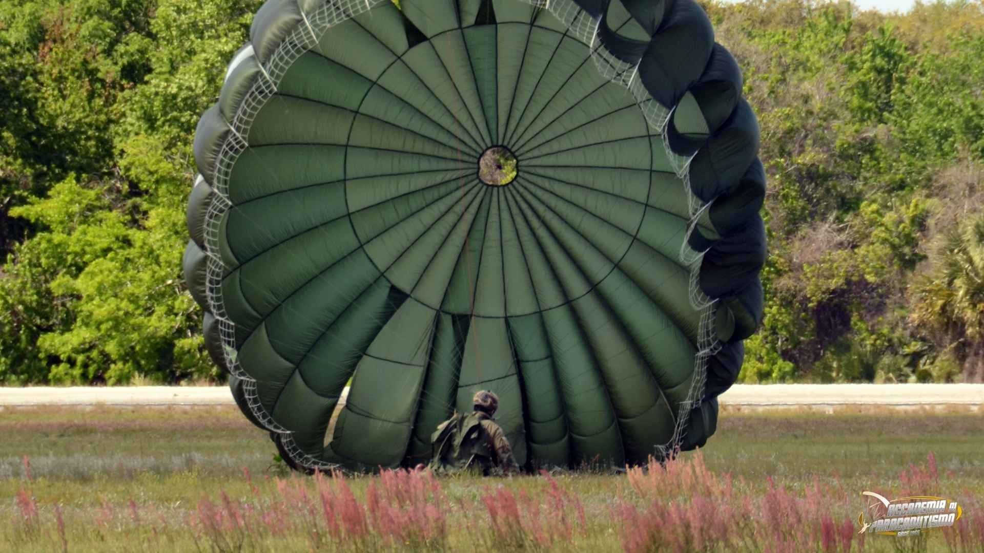 Military Skydiving License: how to get it in 2026